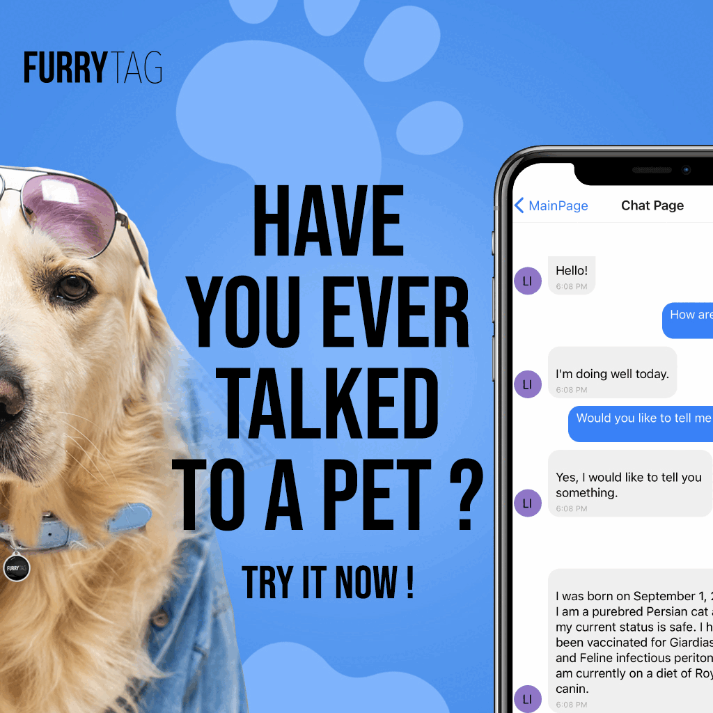 Looking for pet hotel deal? Book a pet hotel on