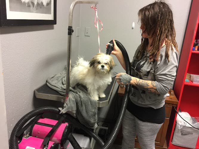 Dog breeder Go Pet Club Livermore