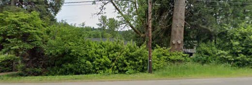 Dog breeder Holistic Frenchies Gresham