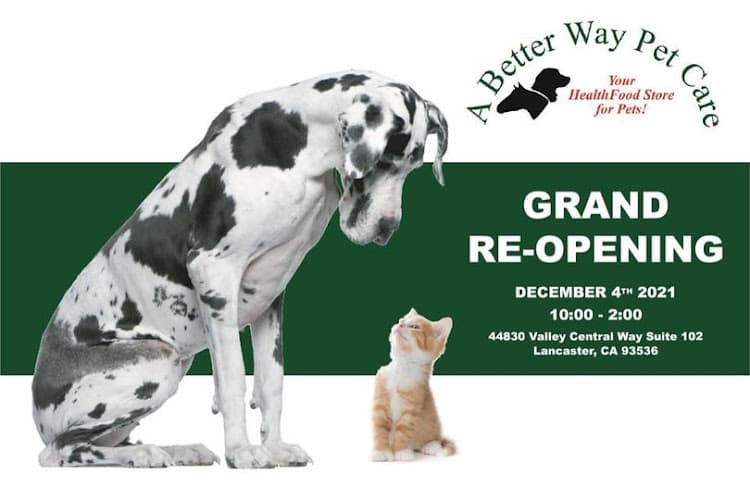 Dog day care center A Better Way Pet Care Lancaster