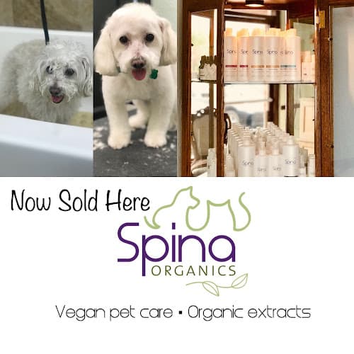 Dog day care center A Doggies Tail Spaw Simi Valley