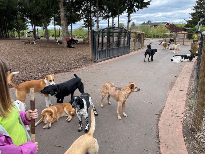 Dog day care center A Dog's Hide-A-Way Portland