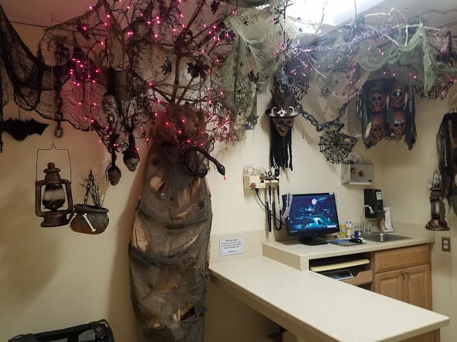 Dog day care center ABC Veterinary Hospital San Marcos