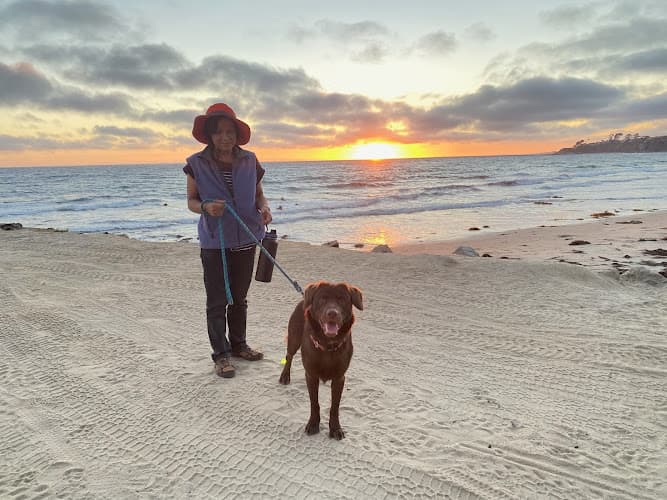 Dog day care center Above & Beyond Pet Care Clinic Norwalk