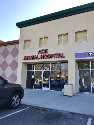 Dog day care center ACE Animal Hospital Fremont