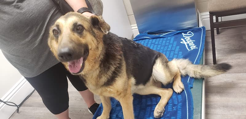 Dog day care center Adams Animal Hospital West Covina