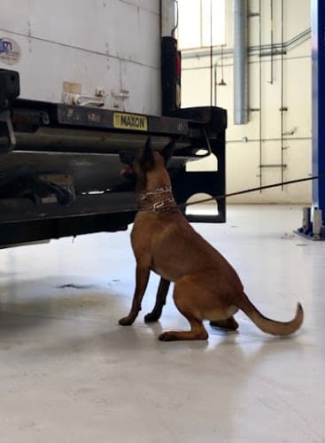 Dog day care center Adlerhorst International, LLC Jurupa Valley