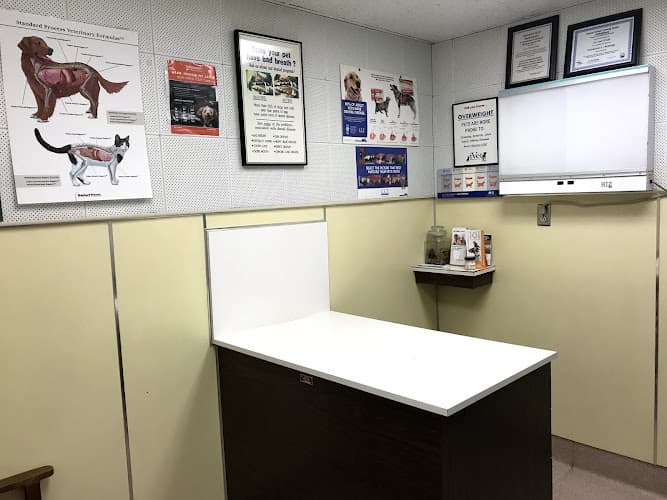 Dog day care center Adobe Animal Hospital Oxnard