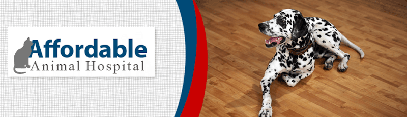 Dog day care center Affordable Animal Hospital Anaheim