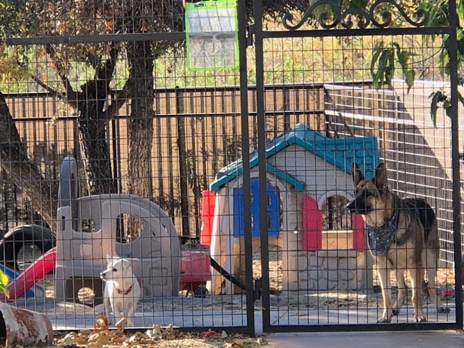 Dog day care center Aguanga Dog Boarding - Pawsnclaws, Inc. Temecula