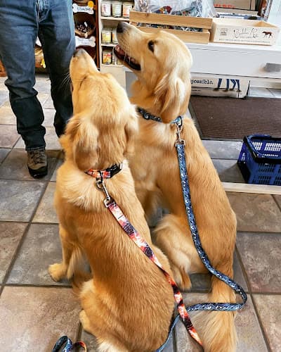 Dog day care center AK Bark Anchorage