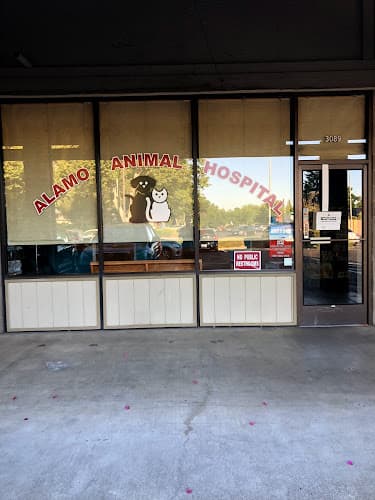 Dog day care center Alamo Animal Hospital Vacaville