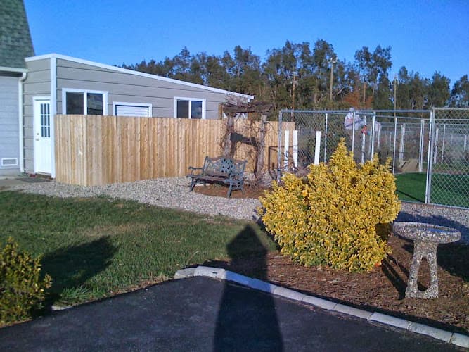 Dog day care center Alan's Canine Training and Kennels Vacaville