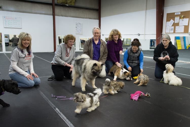 Dog day care center Alaska Dog Sports Anchorage