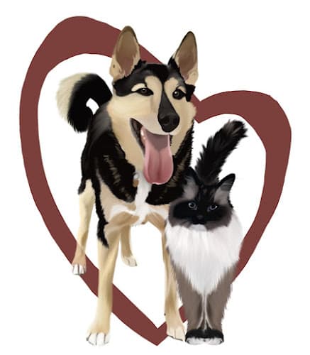 Dog day care center Alaska TLC Kennels Anchorage