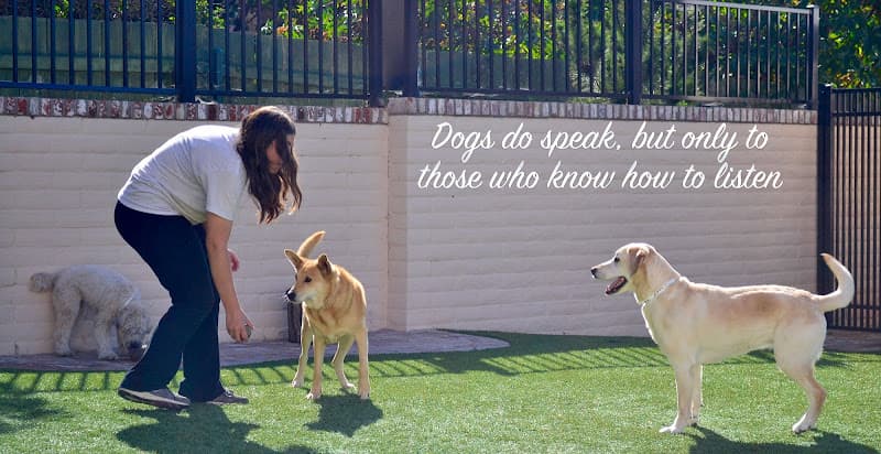 Dog day care center Alcala Country Pet Resort Carlsbad