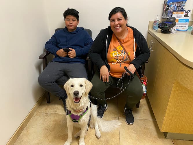 Dog day care center Alicia Pet Care Center Mission Viejo