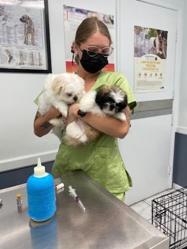 Dog day care center All Pet Feed & Tack San Bernardino