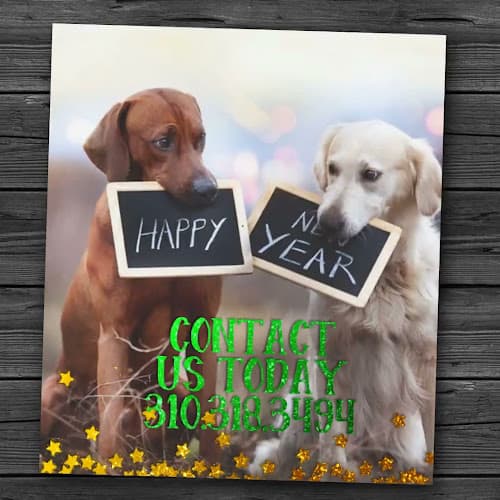 Dog day care center Ally McPets Pet Sitting and Dog Walking Torrance