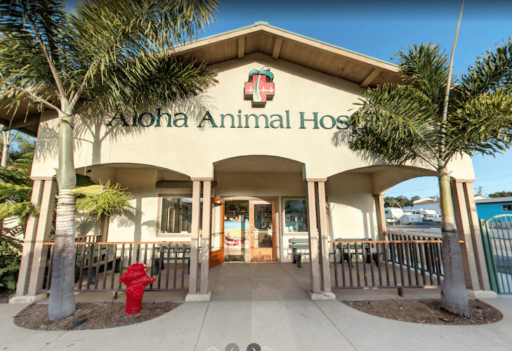 Dog day care center Aloha Animal Hospital Vista