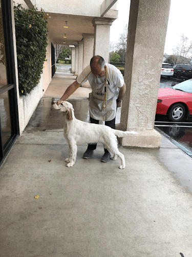 Dog day care center Alta Pet Center Rancho Cucamonga