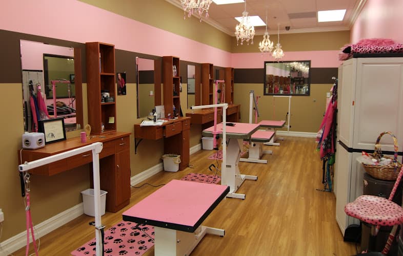 Dog day care center Ambers Luxury Pet Hotel And Spa Fontana