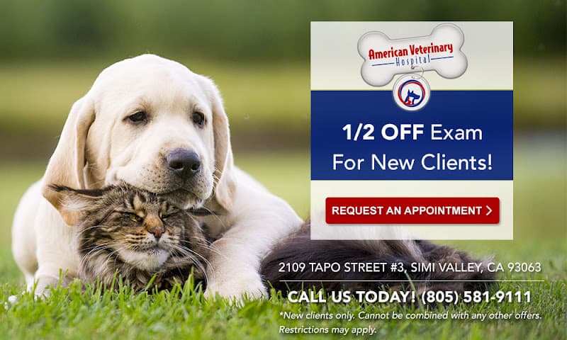 Dog day care center American Veterinary Hospital of Simi Valley Simi Valley