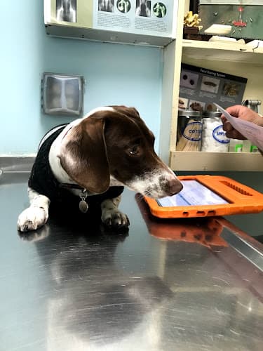 Dog day care center Animal Care Clinic Norwalk