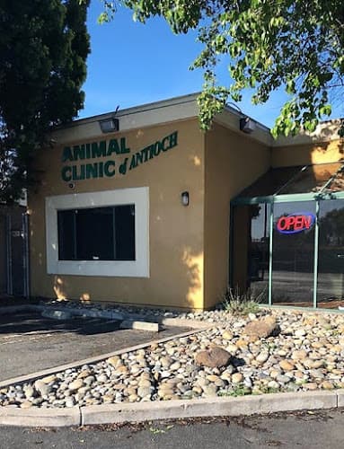 Dog day care center Animal Clinic of Antioch Antioch