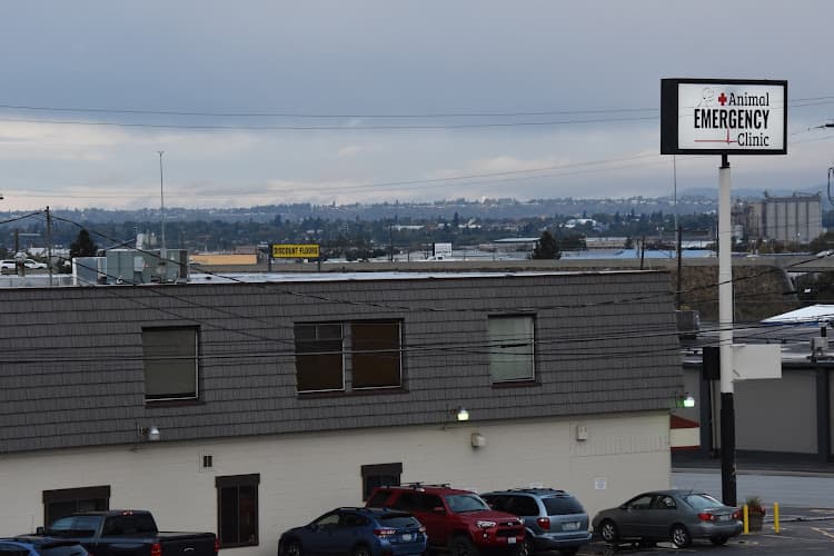 Dog day care center Animal Emergency Clinic Spokane Valley