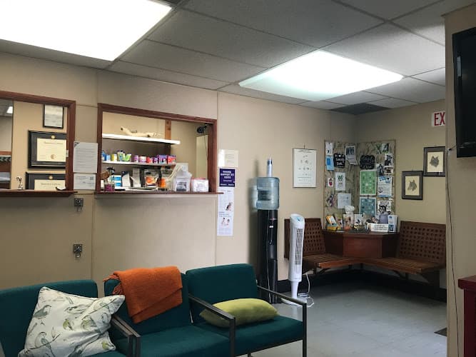 Dog day care center Animal Health Care Center Glendale