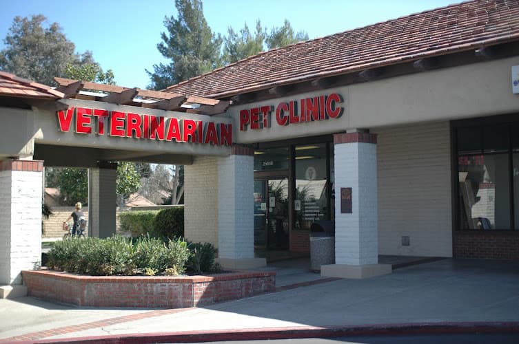 Dog day care center Animal Medical Center Santa Clarita