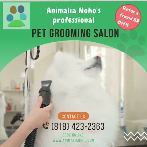 Dog day care center AnimaliA NoHo Burbank