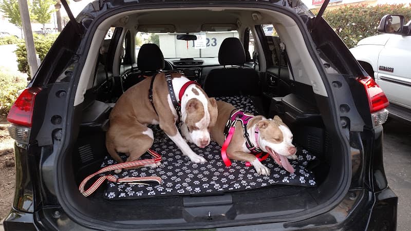 Dog day care center Arden Animal Hospital Sacramento
