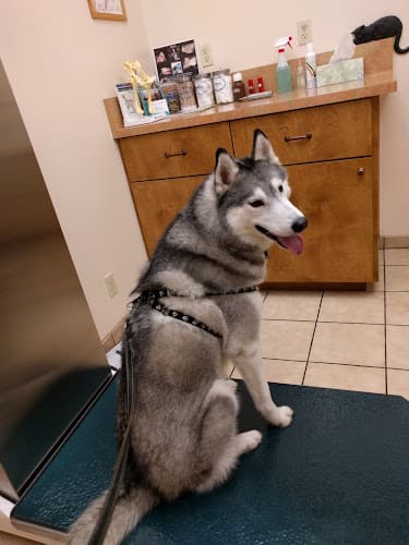 Dog day care center Ardenwood Pet Hospital Fremont