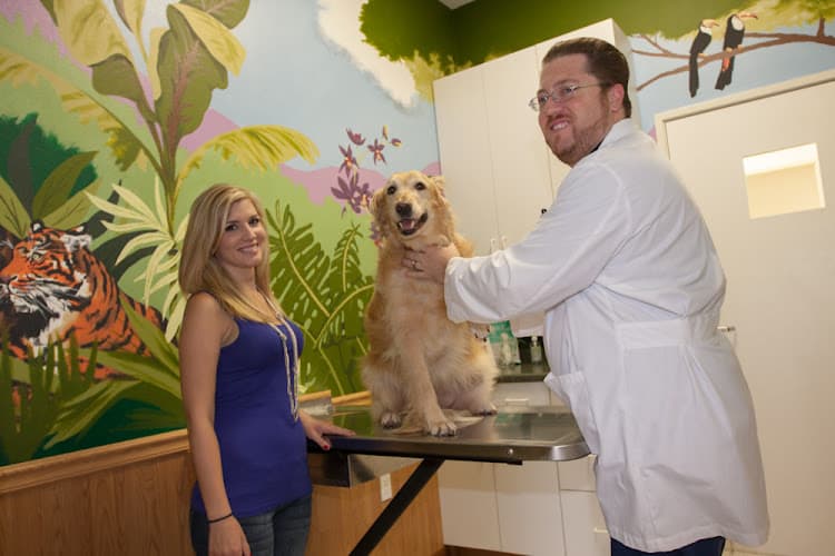 Dog day care center Ark Animal Hospital Murrieta