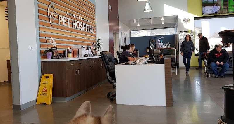 Dog day care center Armstrong Pet Hospital Clovis