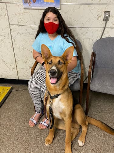 Dog day care center Arrowview Animal Hospital San Bernardino