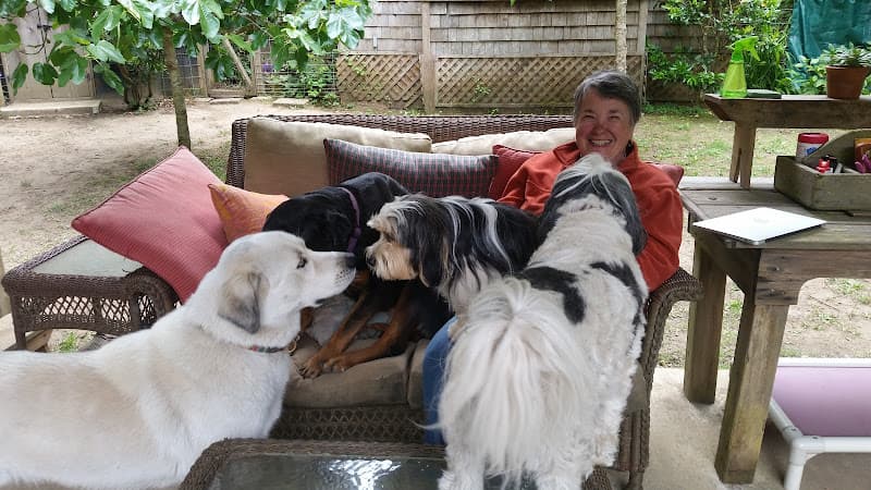 Dog day care center At Last Farm Dog Day Care & Boarding Santa Rosa