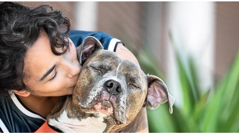 Dog day care center Banfield Pet Hospital Gresham