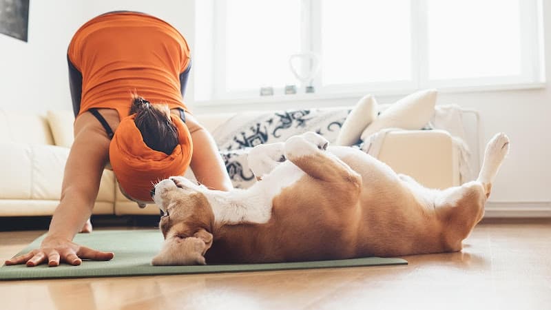 Dog day care center Banfield Pet Hospital Long Beach