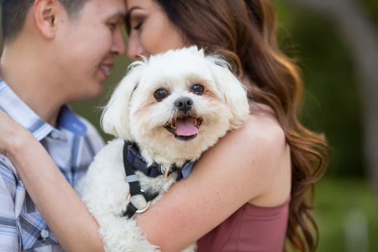 Dog day care center Barks & Bones Boutique Rancho Cucamonga