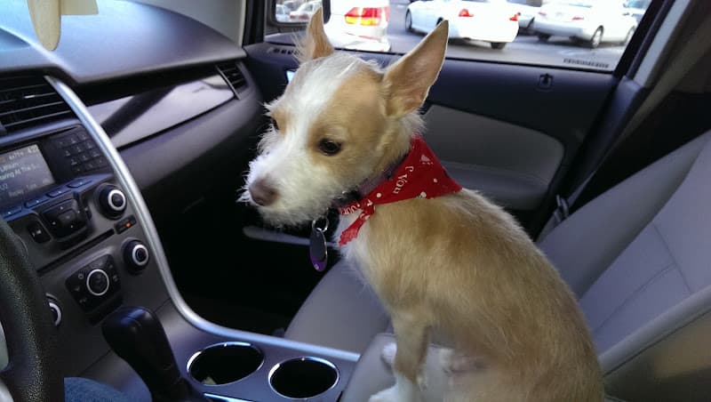 Dog day care center Bath & Furry Works West Covina