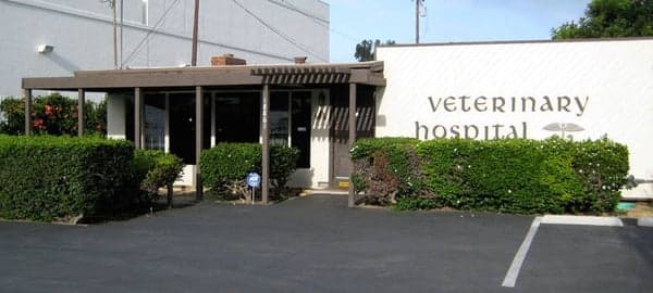 Dog day care center Beach-Garfield Veterinary Hospital Huntington Beach