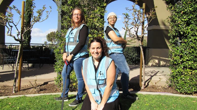 Dog day care center BeLoved Pet Sitting - Imperial Beach Chula Vista