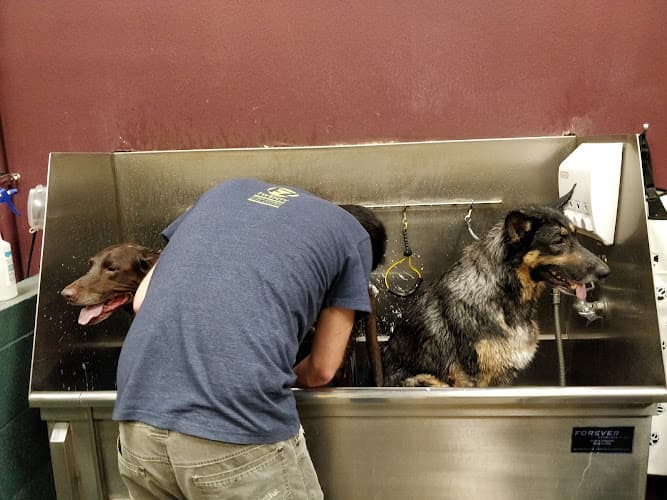 Dog day care center Bend Pet Express & Dog Wash Bend