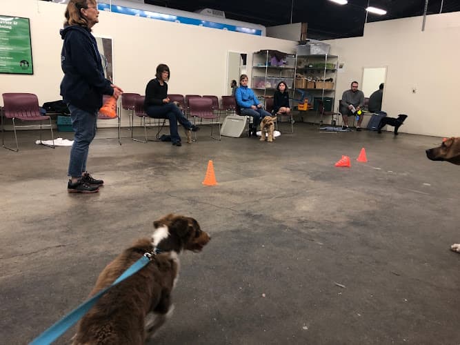 Dog day care center Berkeley Humane Berkeley
