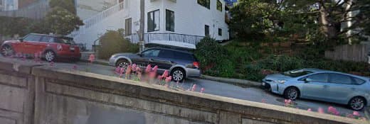 Dog day care center Big and Small Pooch Party San Francisco