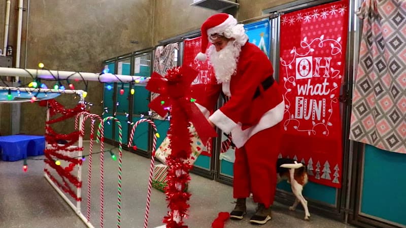 Dog day care center Biscuits Doggie Daycare Kent