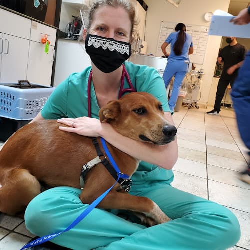 Dog day care center Bixby Animal Clinic Long Beach